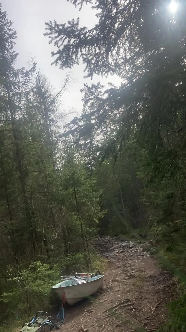 En liten båt trekkes på tralle langs en skogssti
