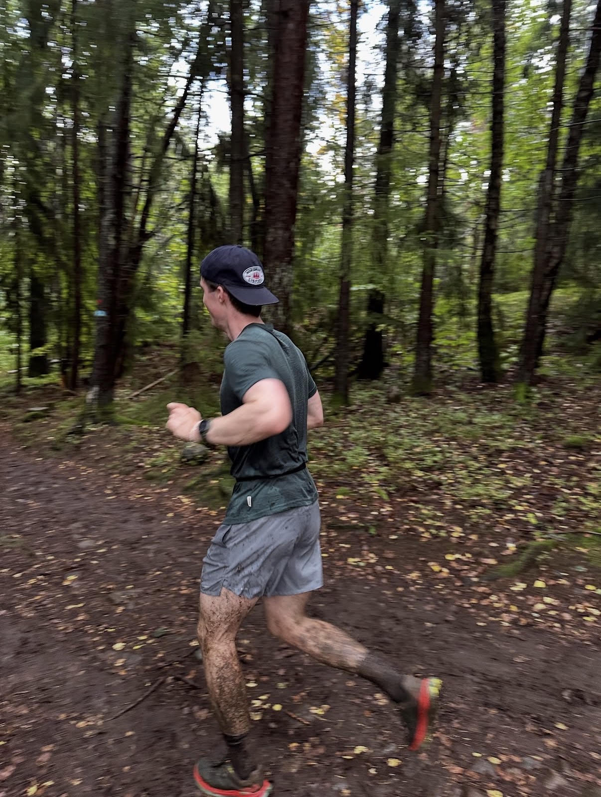 Torkel running along a woodland trail